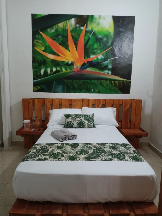 Hospedajes El Jardin Энвигадо Экстерьер фото